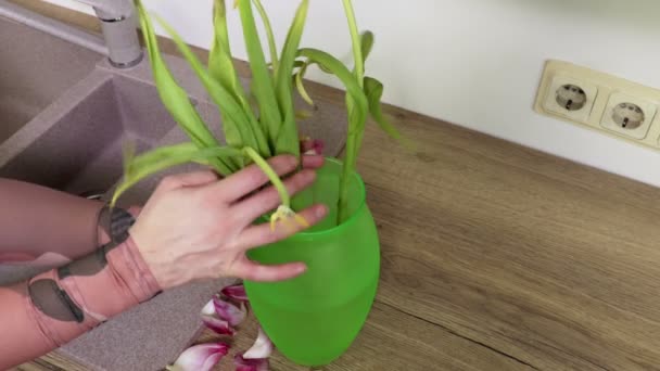 Yeşil Kase Yakın Kadın Ile Solmuş Çiçekler — Stok video