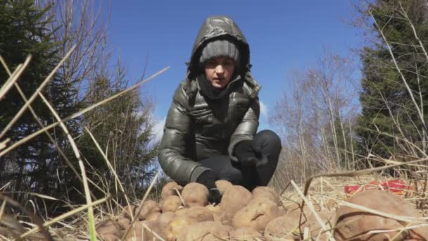 Kobieta Rzuca Ziemniaki Wokół Trawy Koncepcja Karmienia Zwierząt Dzikich — Wideo stockowe