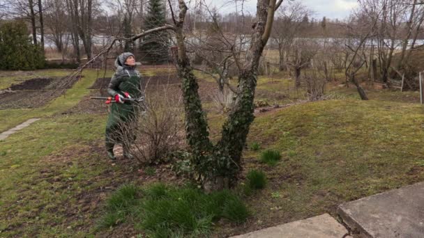 Femme Jardinier Avec Coupe Branches Près Pommier — Video