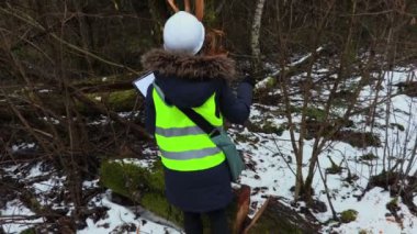 Kadın ormancılık çalışanı, kırık ağaçları kontrol ediyor.