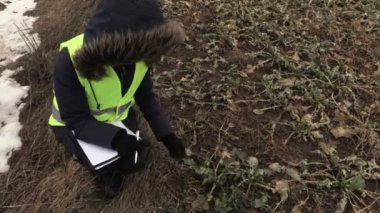 Kışın tarlanın yanında kadın çiftçi. Kış çiftçiliği kavramı.