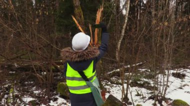 Kadın ormancılık çalışanı kırık ağacın fotoğraflarını çekmek