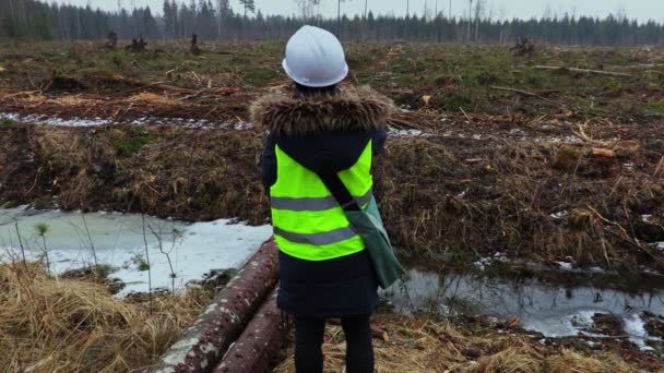 Kvinnlig Skogsinspektör Fällnings Plats Regnig Vinterdag — Stockvideo