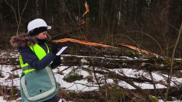 Kobieta Pracownik Leśnictwa Pisanie Pobliżu Zniszczonych Drzew — Wideo stockowe