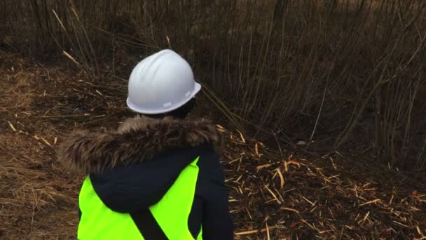 在砍伐灌木附近的斜坡上 女林业检查员 — 图库视频影像
