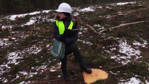 Inspetor Florestal Fêmea Inspecionando Floresta Destruída Dia Inverno Molhado — Vídeo de Stock