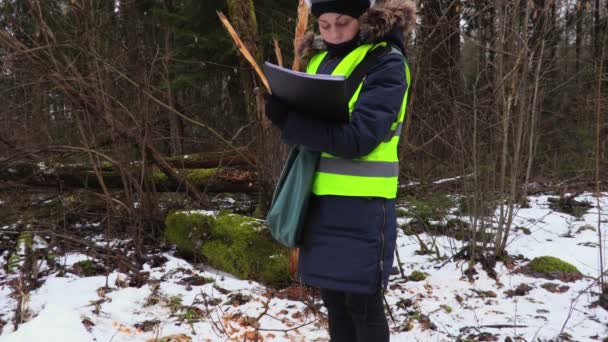 Kvinnlig Skogsinspektör Skriva Och Kontrollera Brutna Träd — Stockvideo