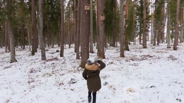 Klein Meisje Gooien Pine Kegels Naar Vogel Huizen — Stockvideo