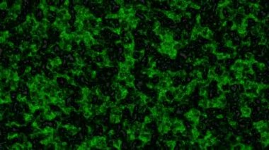 Yanıp sönen ışıkla arka planı soyutlama