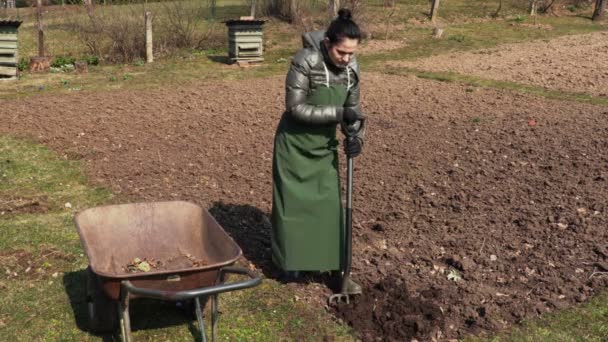 Mujer Haciendo Trabajos Jardinería — Vídeos de Stock