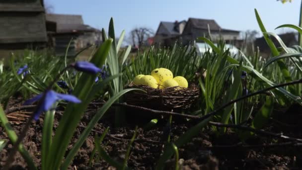 Yuvada Sarı Yumurtalar Paskalya Konsepti — Stok video
