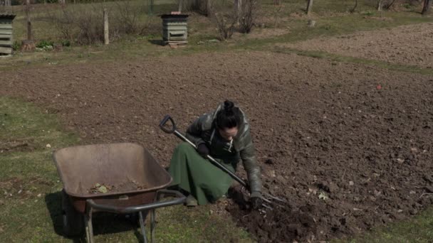 Jardinagem Família Feliz Campo Perto Carrinho Mão — Vídeo de Stock