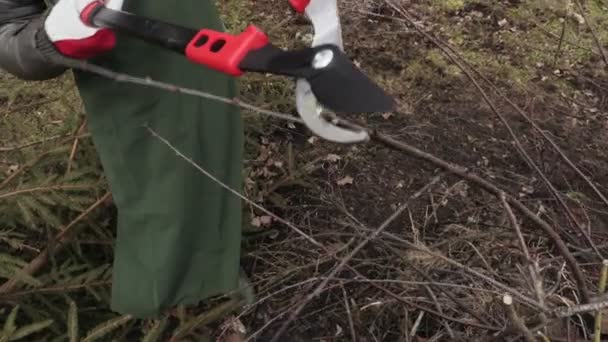 Γυναίκα Κηπουρός Κοντά Κλαδιά Που Χρησιμοποιούν Ψαλίδι Στον Κήπο — Αρχείο Βίντεο