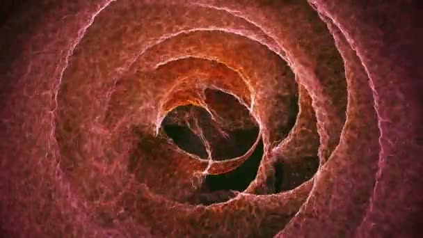 Абстрактний Фон Фіолетовому Помаранчевому Кольорах — стокове відео