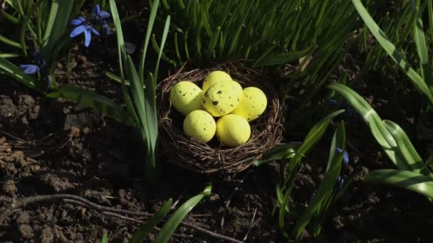 Huevos Amarillos Nido Sobre Hierba Verde Concepto Pascua — Vídeos de Stock