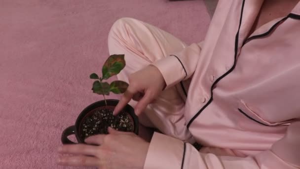 Femme Déçue Avec Plante Flétrie Lit — Video