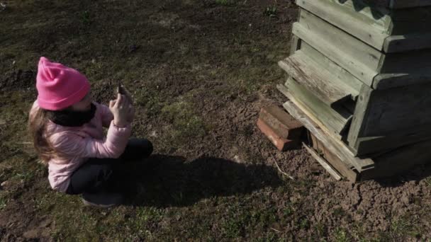 Девушка Фотографирует Пчелиный Улей Смартфоне — стоковое видео