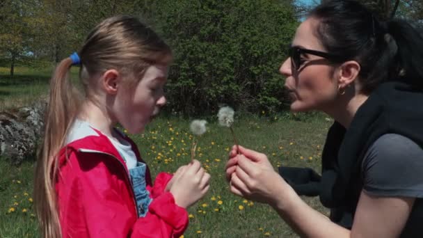 Mutter Und Tochter Spielen Mit Löwenzahn Auf Der Wiese — Stockvideo