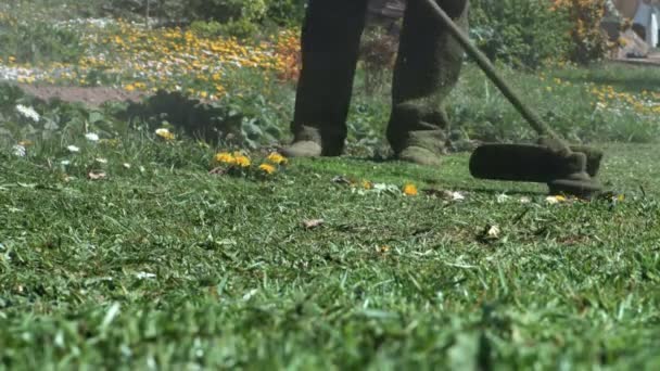 工人与电动工具字符串草坪修剪器割草机割草 — 图库视频影像