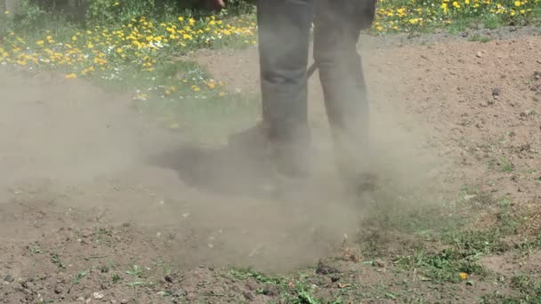 Trabajador Cortando Hierba Entre Los Campos Del Suelo Usando Cortador — Vídeos de Stock
