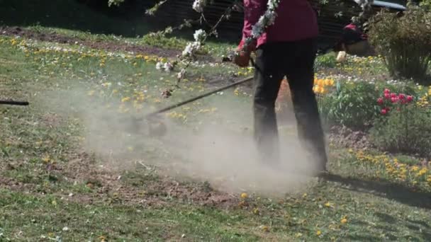 芝生の上に頭皮を作る芝生トリマー芝刈り機で間違いをする労働者 — ストック動画