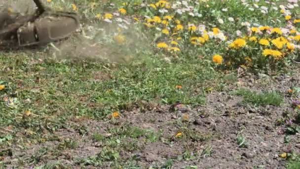 Mowing Trimmer Worker Cutting Grass Green Yard — Stock Video