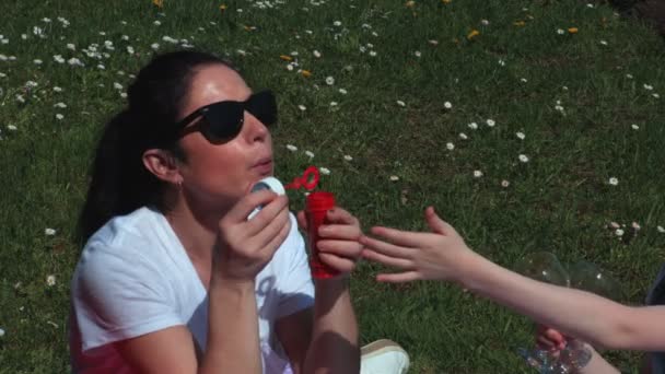 Moeder Dochter Genieten Van Picknick — Stockvideo