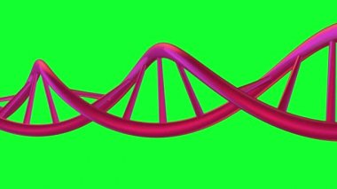 Yeşil ekranda mor dna sarisinde dönen Dna sarisı
