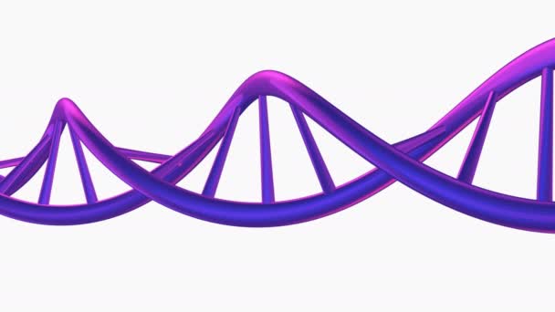 Roterende Dna Helix Paars Wit — Stockvideo