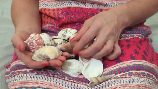Woman Sorting Shells Close Holiday Memory Concept — Stock Video
