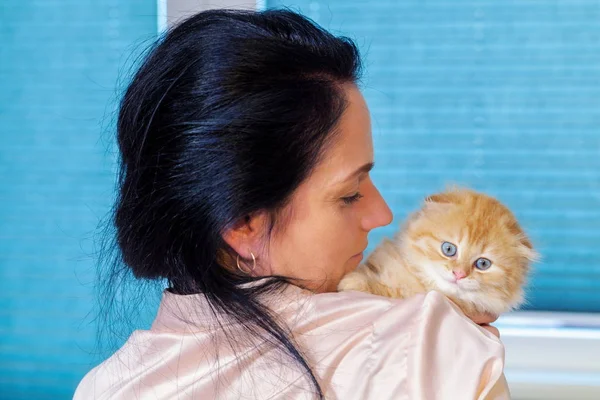 Woman Holding Cute Scottish Fold Kitten — Stock Photo, Image