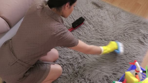 Limpiador Mujer Limpiar Piel Sintética Rug Housework Concepto Limpieza — Vídeo de stock