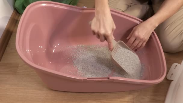 Woman Finish Cleaning Cat Litter Box Changing Clay Sand — Stock Video