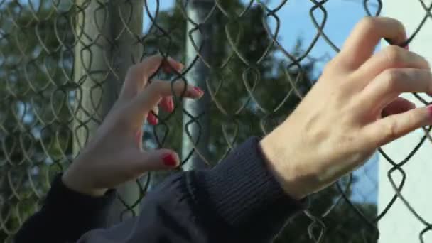 Руки Звисають Колючому Дроті Концепція Біженців — стокове відео