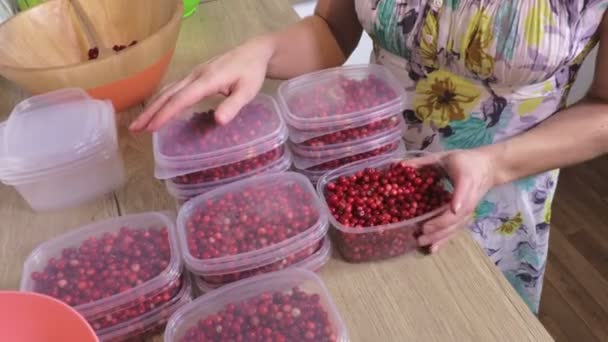 Mulher Classificando Recipientes Plástico Com Cranberries — Vídeo de Stock
