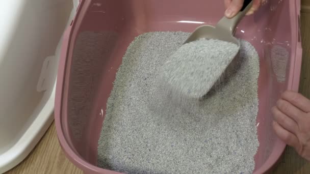 Женщина Наполняет Выравнивает Глиняный Песок Кошачьем Туалетном Столике — стоковое видео