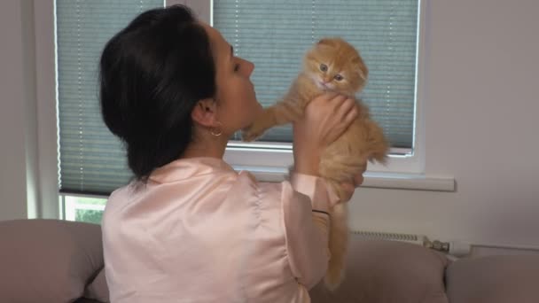 Bella Donna Che Tiene Bacia Suo Bel Gatto — Video Stock