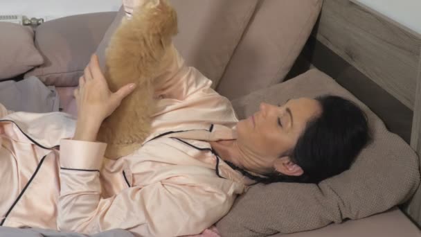 Mulher Está Deitada Cama Acariciando Gato — Vídeo de Stock