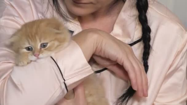 Kvinna Petting Och Kyssar Söt Baby Katt — Stockvideo