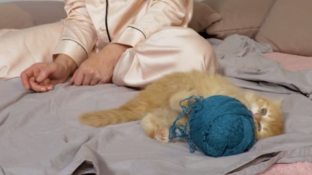 Frau Beobachtet Lustiges Kätzchen Beim Spielen Mit Wollknäuel Bett — Stockvideo