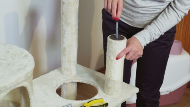 Kobieta Śrubą Pobliżu Kota Scratching Post — Wideo stockowe