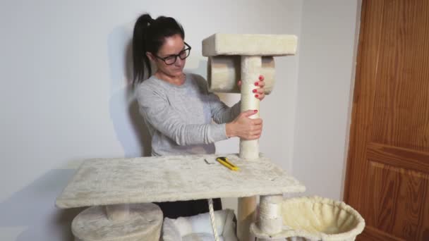 Woman Finishing Cat Activity Center Scratching Tree — Stock Video