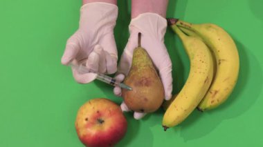 Kadın bilimadamı elleri şırıngayla yeşildeki meyvelere enjekte ediyor.