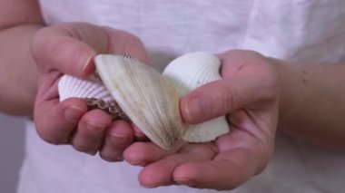 Beyaz deniz kabukları tutan ve gösteren bir kadın