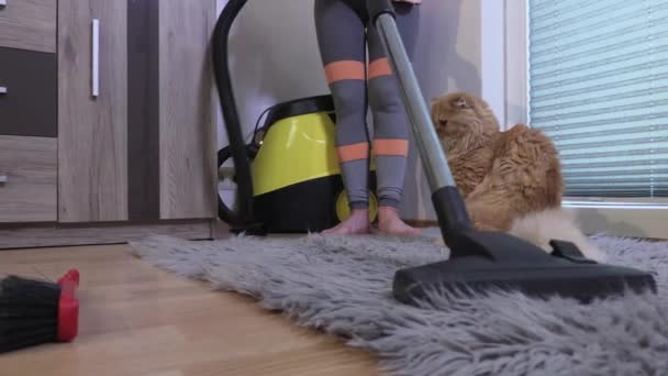 用真空吸尘器清洗地毯的女人 — 图库视频影像