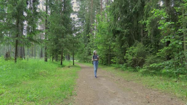 Menina Com Mochila Caminho Explorar Floresta — Vídeo de Stock