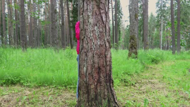 Menina Olha Atrás Árvore Floresta — Vídeo de Stock