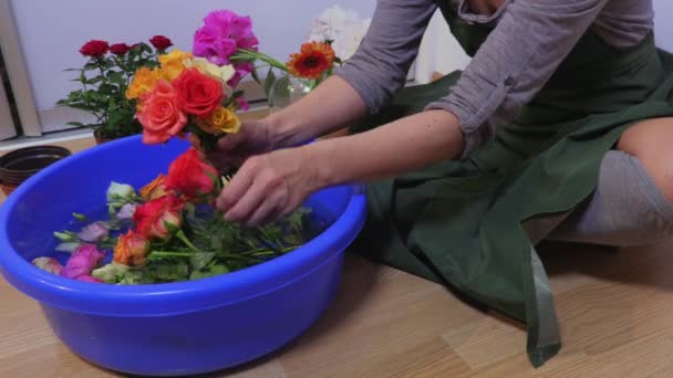 Vrouw Maakt Boeket Van Rozen — Stockvideo