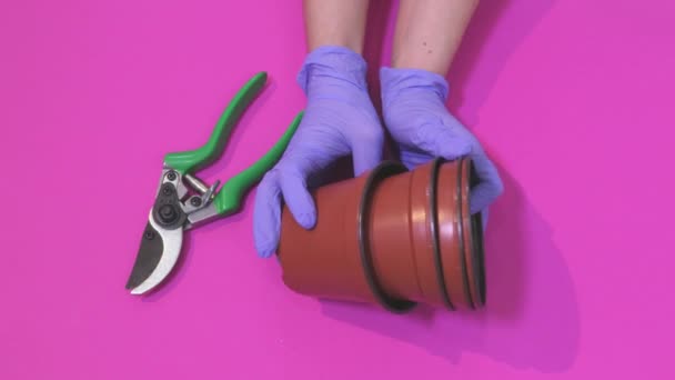 庭師はさみやプラスチックポットを持つ女性 — ストック動画