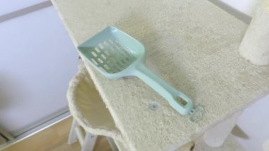 Kedi için kepçeye ve çöp kutusunun tepesini temizleyen kadına odaklan.